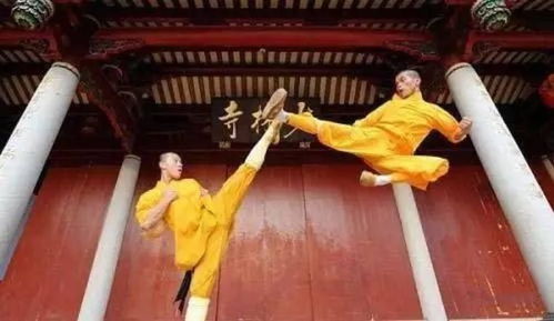 二、寺院里的“奇怪”生活方式