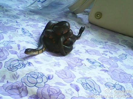 家族传承不能忘