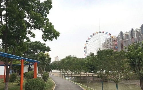 人民公园：城区中的一片绿洲