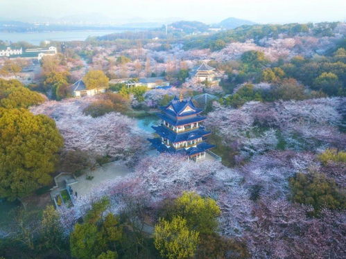 春季(3月-5月)：万物复苏还是泥泞不堪？