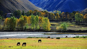 第二天：前往芒康