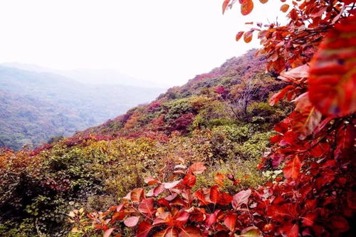 第一站：从化溪头村——乡村版的