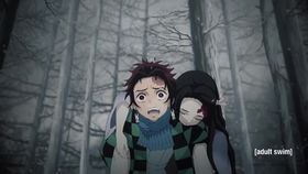 第一章：星座与风水的奇怪相遇