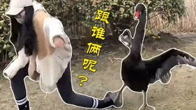 月色下的诡谲