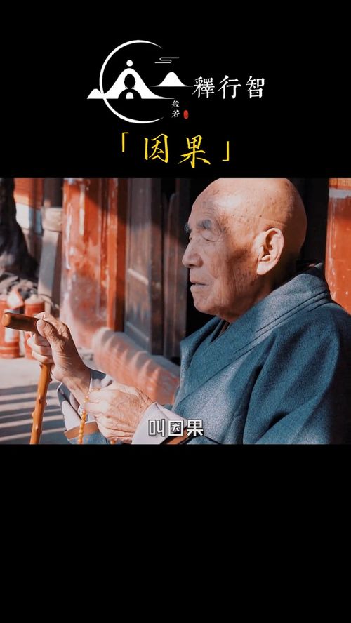 蛇精病学院：扭来扭去尽孝