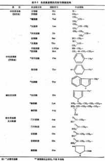 音节结构解析