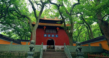 法雨禅寺：尘世外的清凉世界
…………………………………………
………………………………………………………………
…………………………………………………………………………
……………………………………………………………………………………
……………………………………………………………!!!!!!!!!!!!!!…………………………………………………!!!!!!!!!!!!!!!…………………………………………………………………………!!!!!!!!!!!!!!………………………………………………………………!!!!!!!!!!!!!!…………………………………………………………!!!!!!!!!!!!!!………………………………………………………………!!!!!!!!!!!!!!………………………………………………………………!!!!!!!!!!!!!!!…………………………………………………!!!!!!!!!!!!!!!!!……………………………………!!!!!!!!!!!!!!!!!……………………………………!!!!!!!!!!!!!!!!!!………………………………!!!!!!!!!!!!!!!!!!!!!…………………………!!!!!!!!!!!!!!!!!!!!!!!!!!!!!!!!!!!……………………!!!!!!!!!!!!!!!!!!!!!!!!!!!!!!!!!!!………………!!!!!!!!!!!!!!!!!!!!!!!!!!!!!!!!!!!!!!…………!!!!!!!!!!!!!!!!!!!!!!!!!!!!!!!!!!!!!!!……!!!!!!!!!!!!!!!!!!!!!!!!!!!!!!!!!!!!!!!!!!!!!……!!!!!!!!!!!!!!!!!!!!!!!!!!!!!!!!!!!!!!!!!!!!!!……!!!!!!!!!!!!!!!!!!!!!!!!!!!!!!!!!!!!!!!!!!!!!!!!!!……!!!!!!!!!!!!!!!!!!!!!!!!!!!!!!!!!!!!!!!!!!!!!!!!!!!..……!!!!!!!!!!!!!!!!!!!!!!!!!!!!!!!!!!!!!!!!!!!!!!!!!!!!……!!!!!!!!!!!!!!!!!!!!!!!!!!!!!!!!!!!!!!!!!!!!!!!!!!!!!…!!!!!!!!!!!!!!!!!!!!!!!!!!!!!!!!!!!!!!!!!!!!!!!!!!!!!!!……………………………………………………………………………………………………………………….