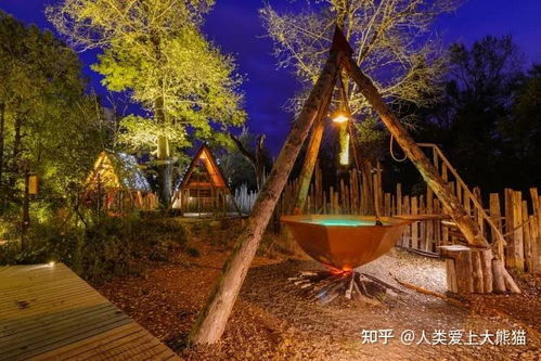 二、 较深入探索：北坡公园的生态与人文