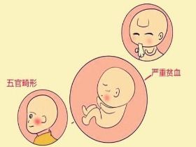 属牛的今年与属兔的婚姻，属牛的和属兔共事，他们的关系如何？