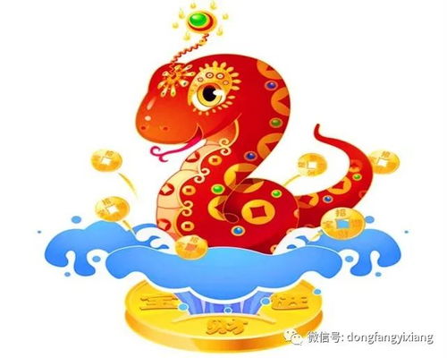 生肖运势较大揭秘