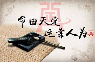 2026年财运如何，命理师能解读2026年财运运势吗？