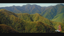 第一站：栾川豆腐——从泉水中诞生的神奇