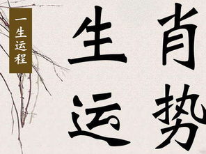 癸卯年立春命理分析中，哪个五行最为旺盛？