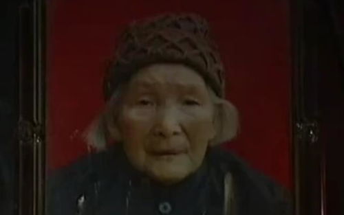 传统文化的解读