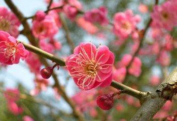 3. 电池的秘密