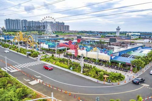 第三天：体验海滨风情