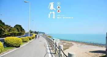 限流下的“生死时速”：提前3天抢票？不存在的！现场碰运气才是王道！（也许吧）