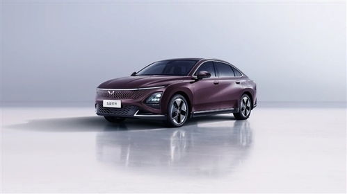 2026年提车吉日大揭秘！不看后悔一辈子