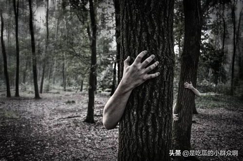 第二章：住宅风水与网络信号的纠缠