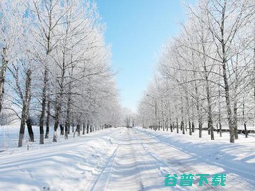 梦见下大雪的详细解说