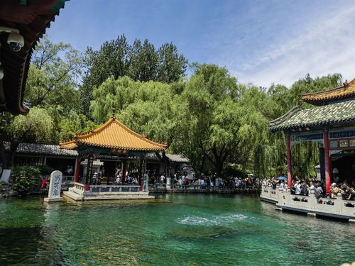 趵突泉：天下第一坑还是真香现场？
