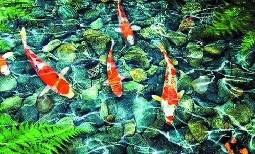 五鬼运财？这操作太骚了！