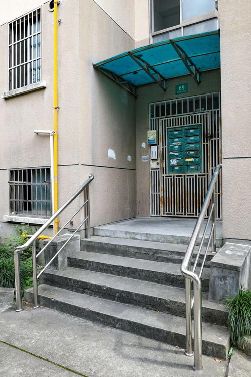 台阶扶手,农村屋门口台阶扶手