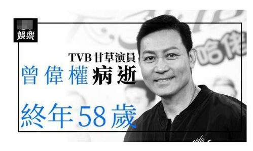 李晓华的惊魂夜：镜中人的凝视