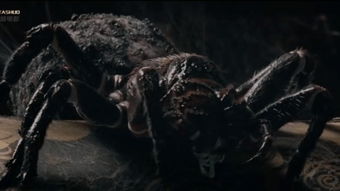 无头苍蝇般的寻找