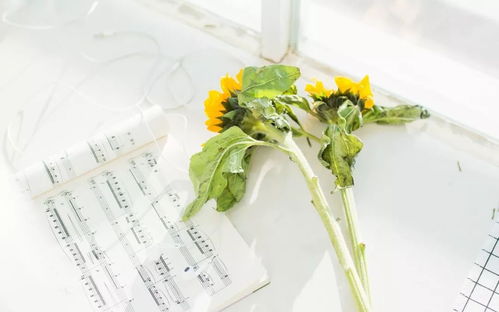 春回大地， 万物复苏的择吉奥秘