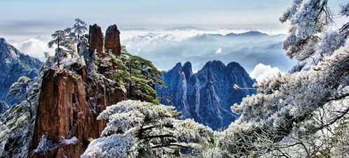 2026年国庆黄山魔幻五日游：花钱找罪受の终极指南