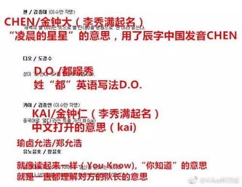 C. 随机脑洞派的解读