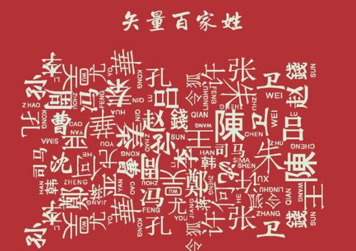三、姓氏到底是一种仪式感还是血缘符号？🤔🤷‍♂️