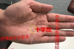 掌中小指长至掌心，这神秘纹路暗示着何种非凡命格？