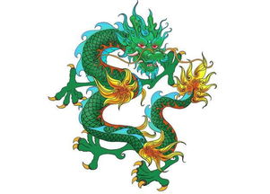 属龙1988年出生的人，2026年换什么手机号能招财？