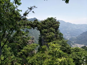 方山门票那些事儿：你以为占了便宜，其实被当韭菜割