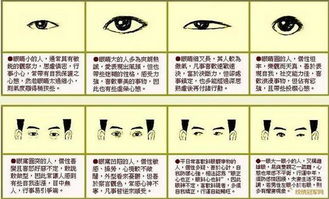如何通过八字时辰和面相图解来详细解读和算命？