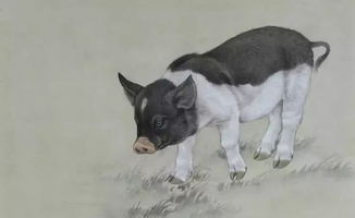 2026年属狗男性属猪伴侣的婚姻状况及最佳结婚吉日是哪一天？