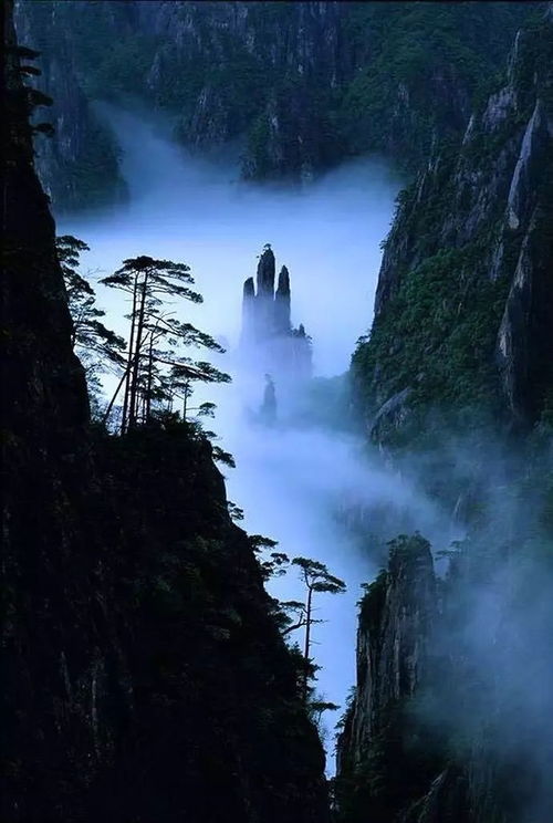 *黄山自助攻略（随便写写）*