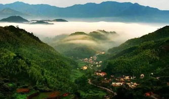四明山：免费的大号电风扇