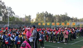 2. 民族文化研学之旅