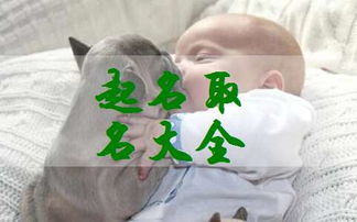 一、 经典推荐：大气有内涵