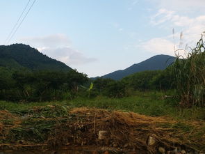 溪头村？宰客村！