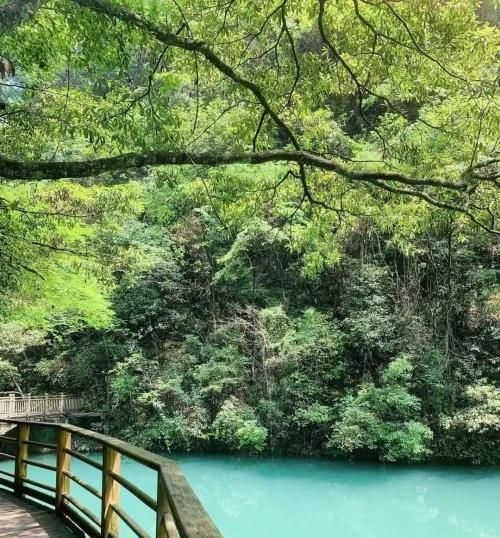 二、 莲花湖：千亩莲花开，清香四溢