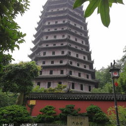 交通是个大坑！