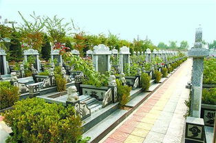 清明时节墓地祭奠,清明坟地