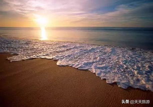 遮阳伞：海滩上的移动堡垒