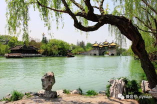 第三天：灵隐寺与飞来峰的神秘探险