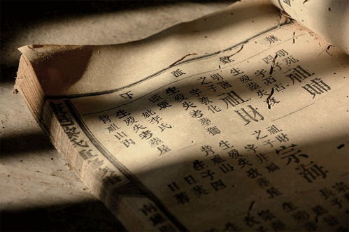 名字的心理状态印记——从“你是谁”到“我是谁”