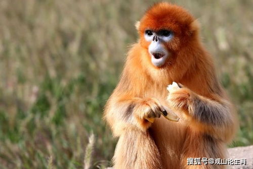 工作岗位方面